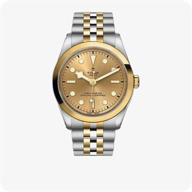Tudor Black Bay 