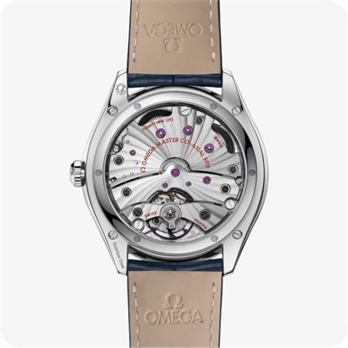 Omega De Ville TRÉSOR CO‑AXIAL MASTER CHRONOMETER SMALL SECONDS 40 MM