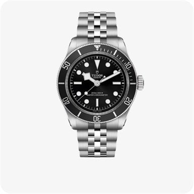 Tudor Black Bay  