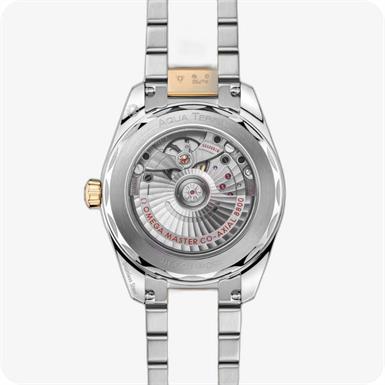 Omega Seamaster SeamasterAqua Terra 150M