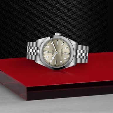 Tudor Black Bay  36