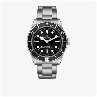 Tudor Black Bay  