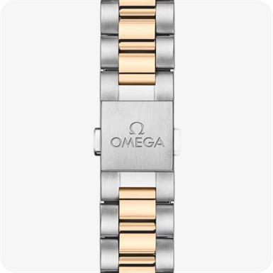 Omega Seamaster SeamasterAqua Terra 150M