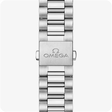 Omega Seamaster SeamasterAqua Terra 150M