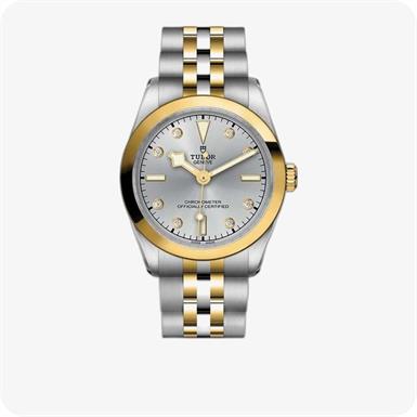 Tudor Black Bay One Black Bay One 31 S&G