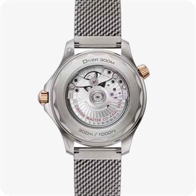 Omega Seamaster SeamasterDiver 300M