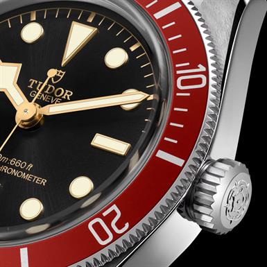 Tudor Black Bay  
