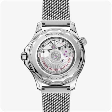 Omega Seamaster SeamasterDiver 300M