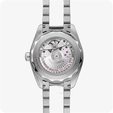 Omega Seamaster Railmaster