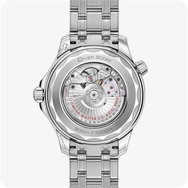 Omega Seamaster 