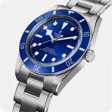 Tudor Black Bay 54 Black Bay 54