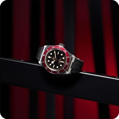 Tudor Black Bay  