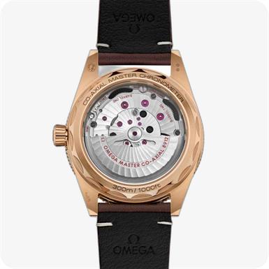 Omega Seamaster SEAMASTER 300 CO-AXIAL MASTER CHRONOMETER