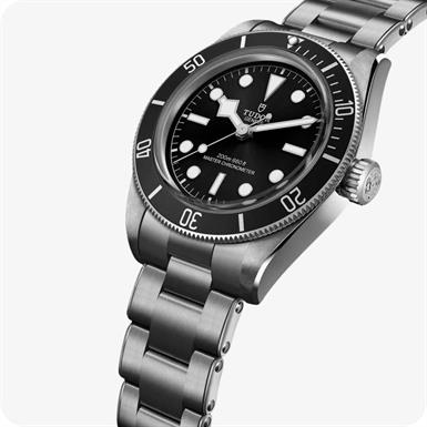 Tudor Black Bay  