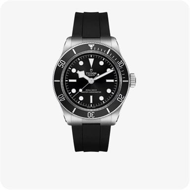 Tudor Black Bay  