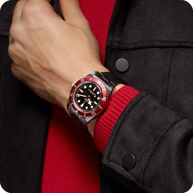Tudor Black Bay  