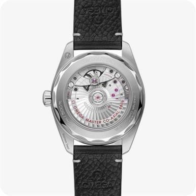 Omega Seamaster Railmaster