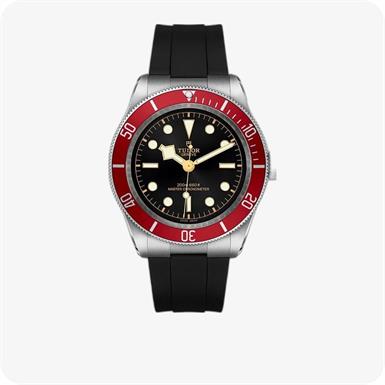Tudor Black Bay  