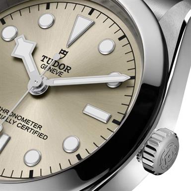 Tudor Black Bay  36