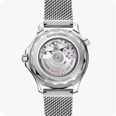 Omega Seamaster Diver 300M