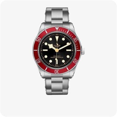Tudor Black Bay  