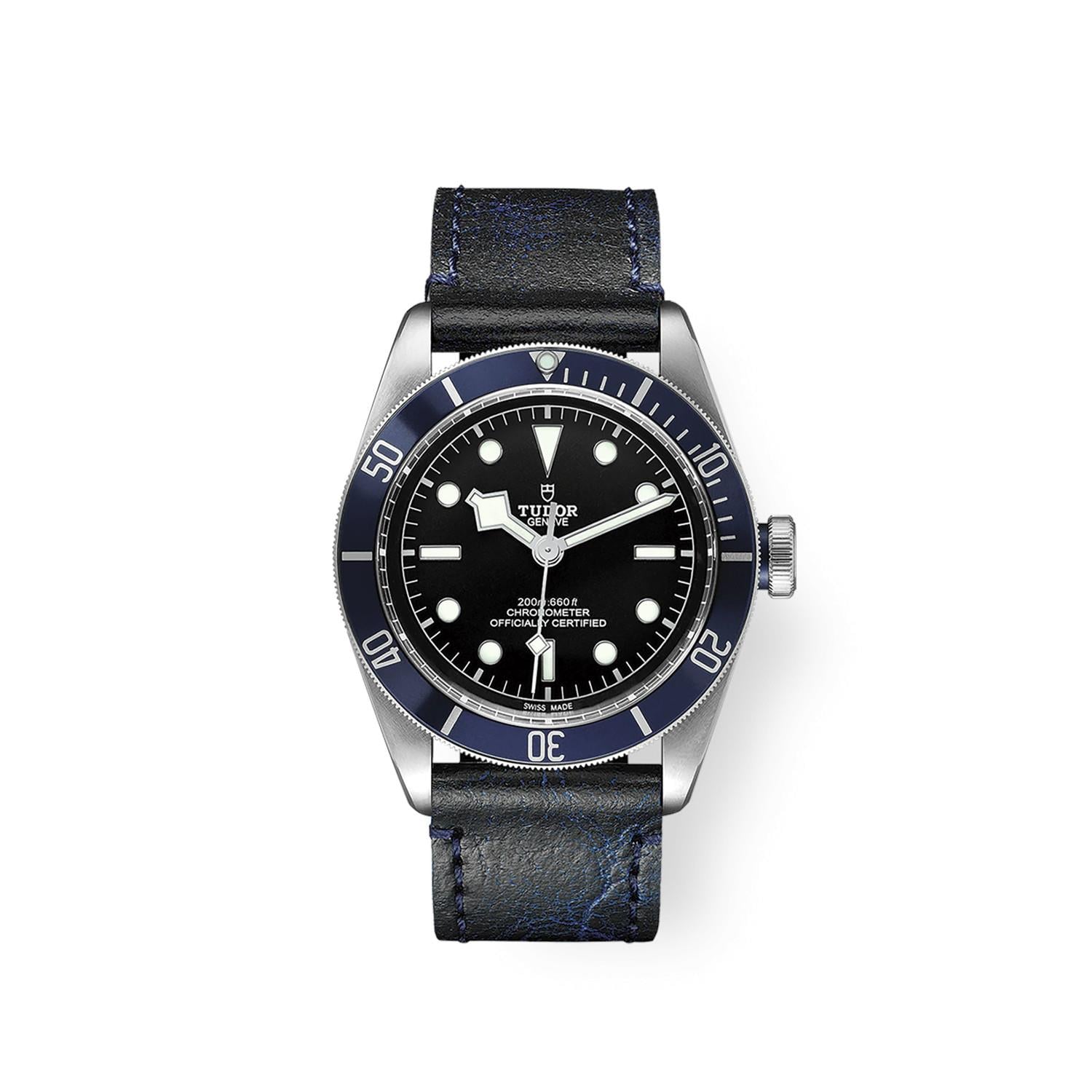 Tudor Black Bay 