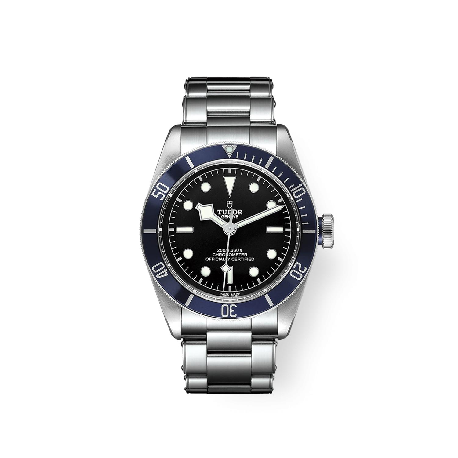 Tudor Black Bay 