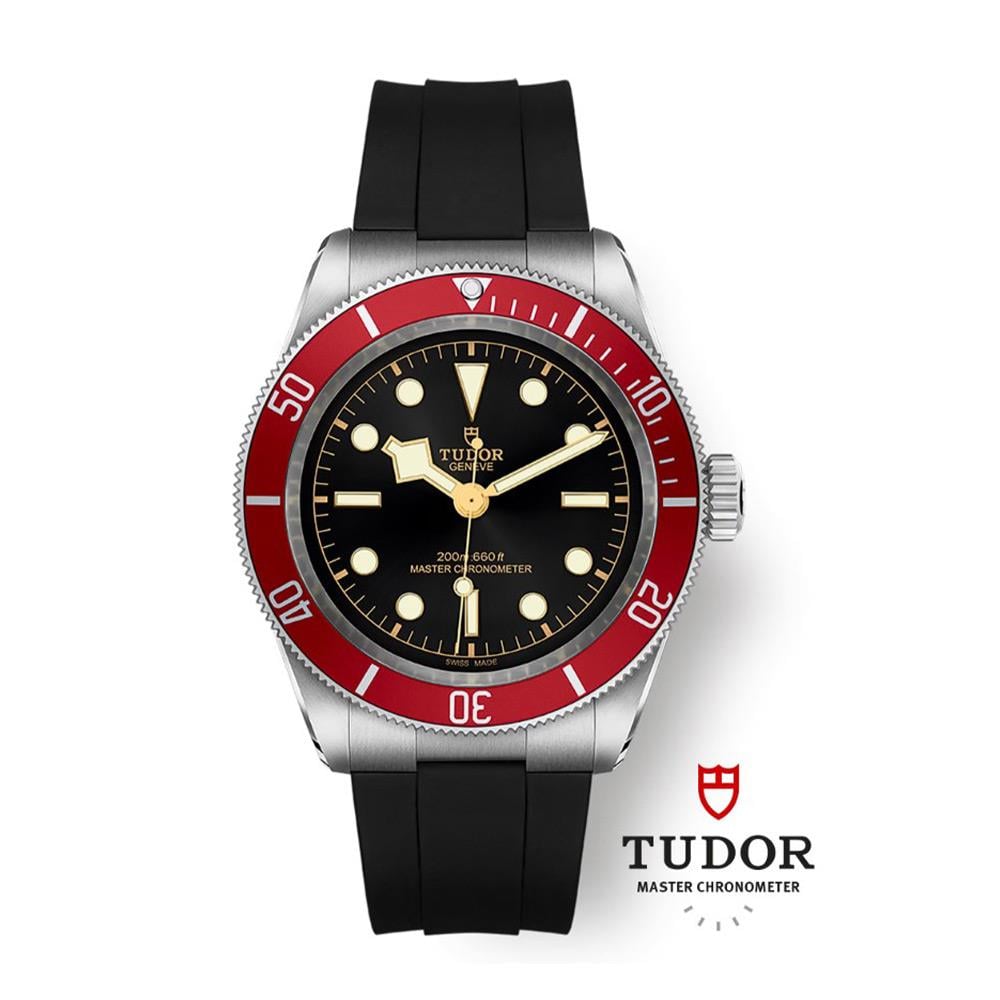 Tudor Black Bay  