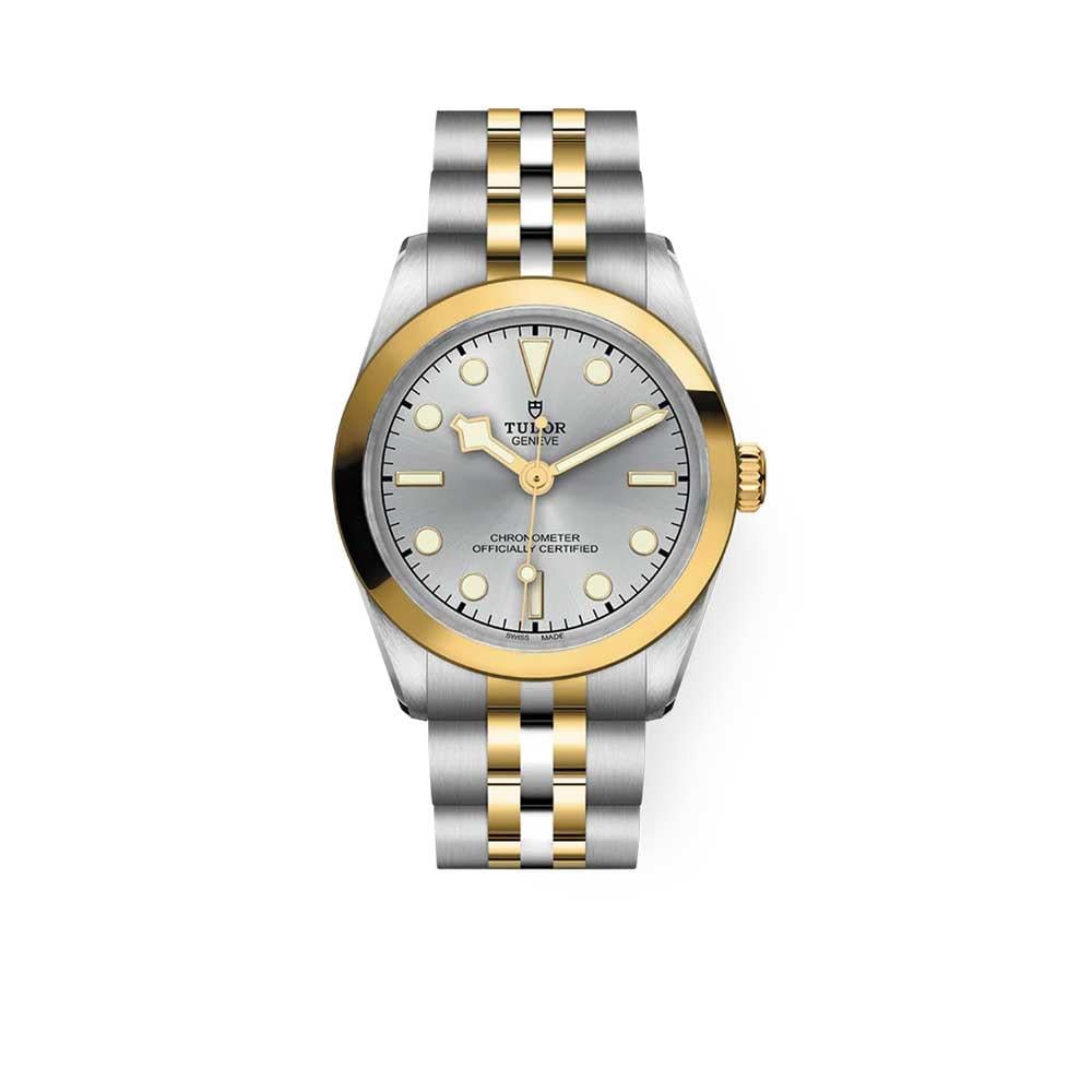 Tudor Black Bay 