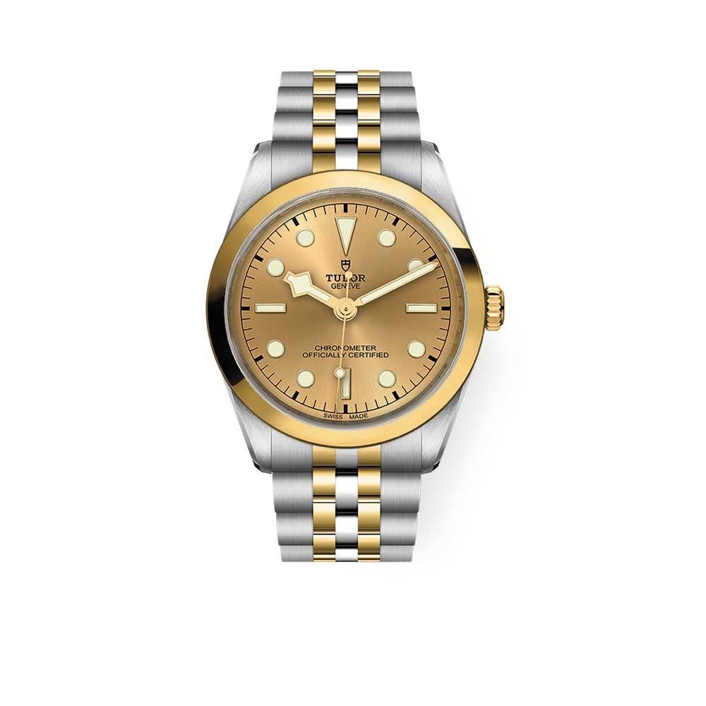 Tudor Black Bay  36 S&G