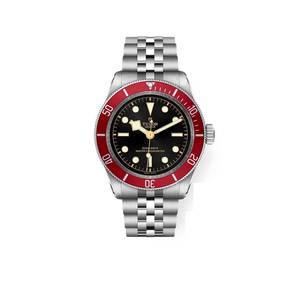 Tudor Black Bay  