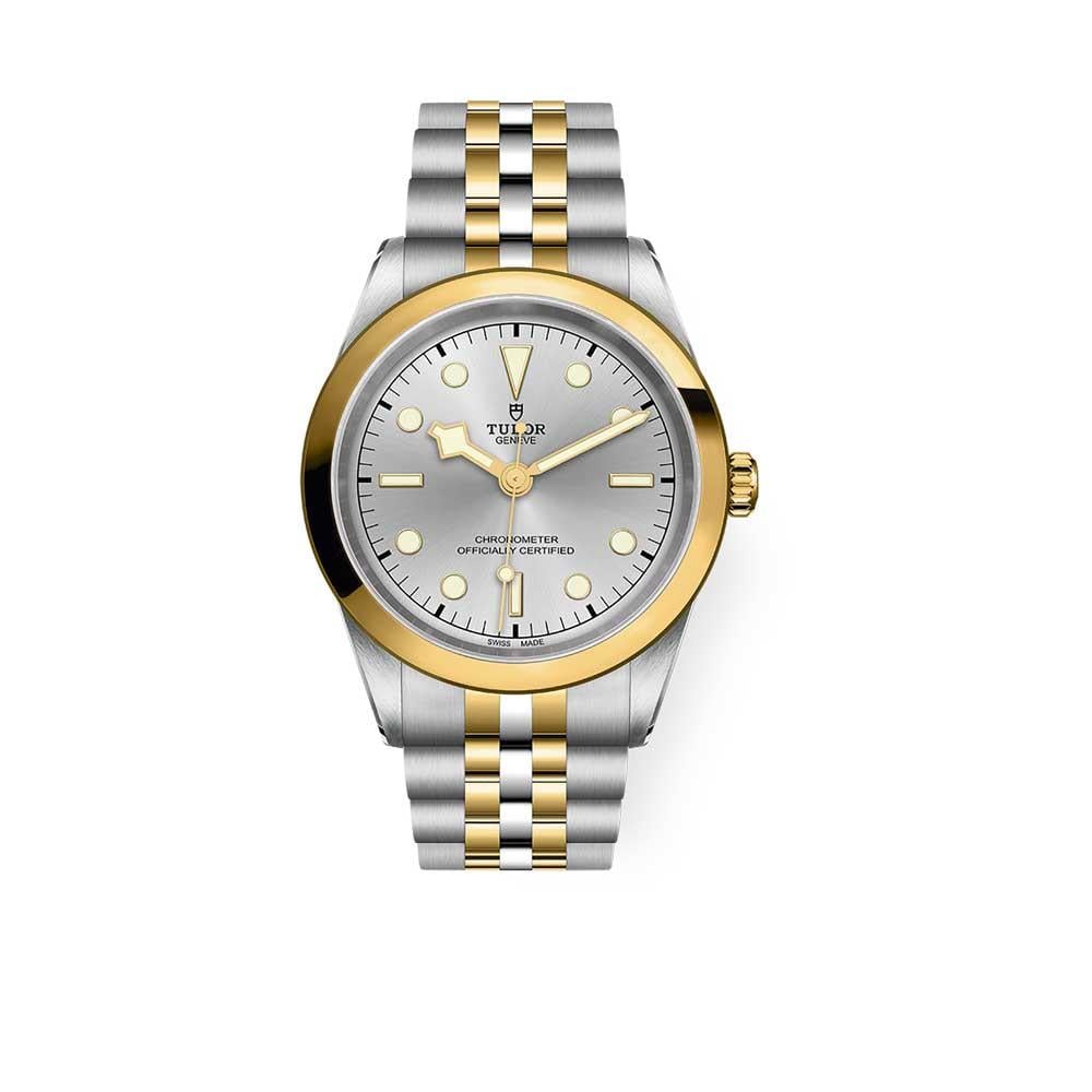 Tudor Black Bay 