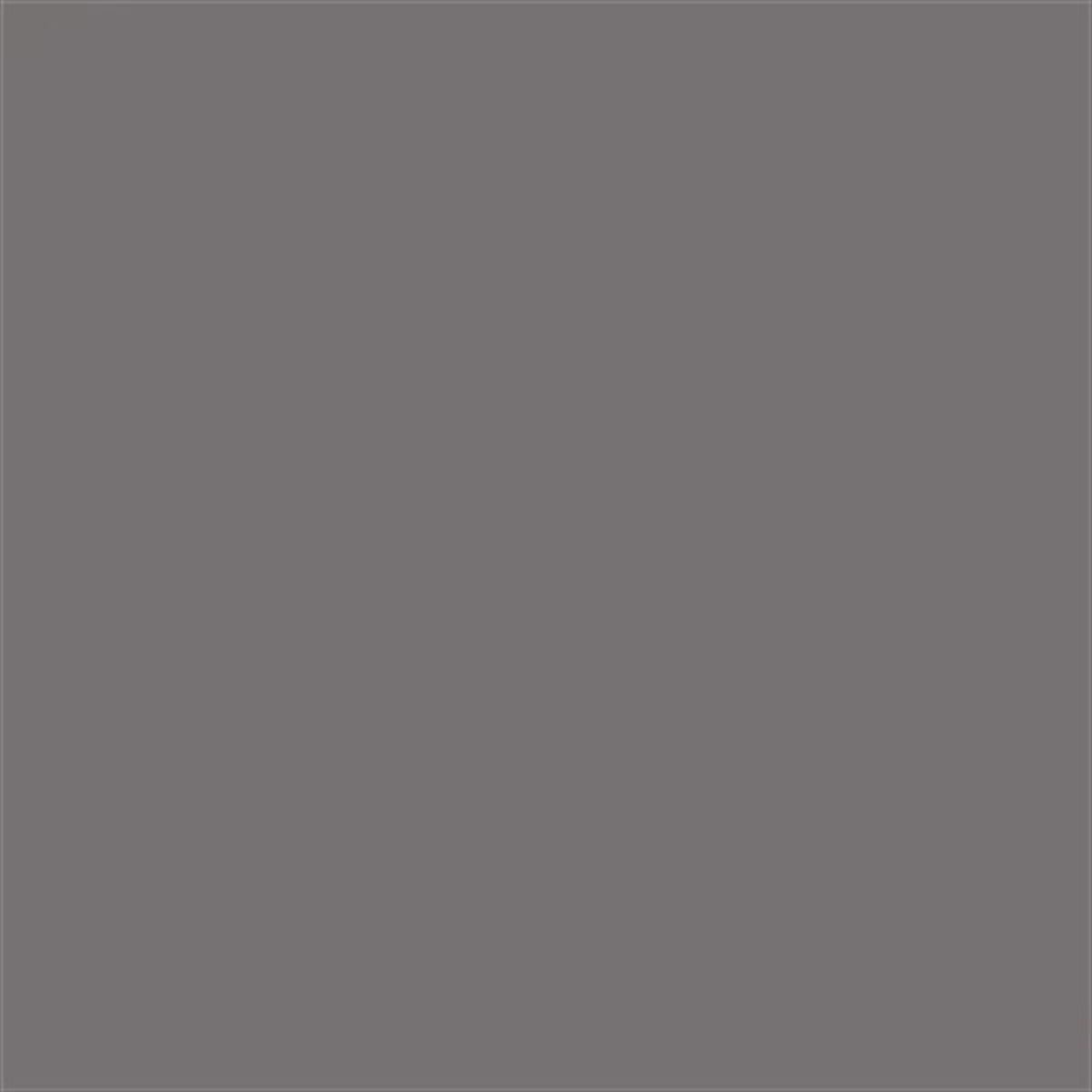 SERANİT SERENA GRİ445 PARLAK 60 X 60 PORSELEN KARO
