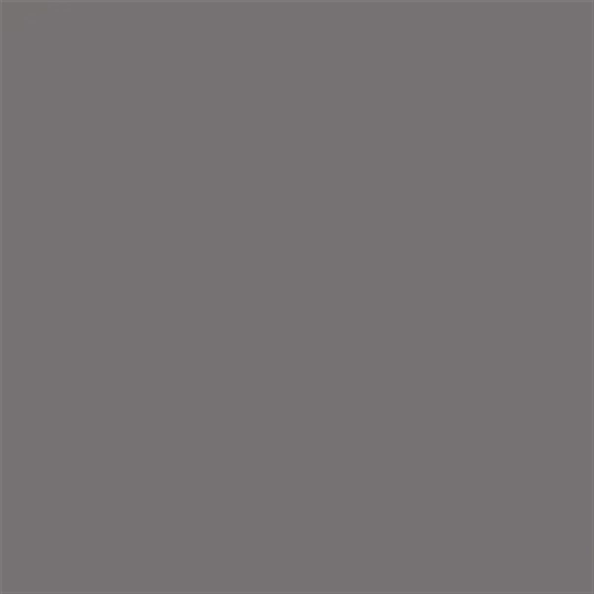 SERANİT SERENA GRİ445 MAT 60 X 60 PORSELEN KARO
