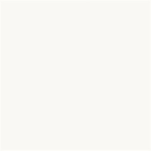 SERANİT SERENA SÜPERWHITE MAT 60 X 60 PORSELEN KARO