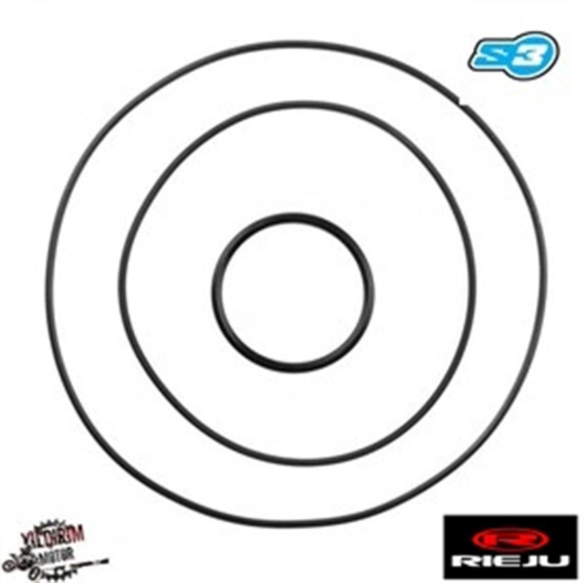 S3 RIEJU 300 ÜST KAPAK ORİNG SETİ