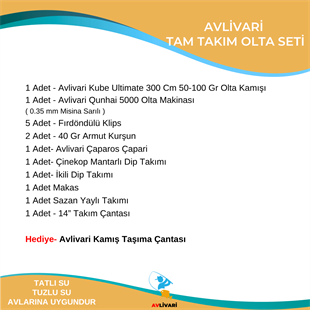 Avlivari Kube Ultimate 300 Cm 50-100 Gr Olta Kamışı - Avlivari Qunhai 5000 Olta Makinası Tam Takım Kıyı Hobi Olta Seti
