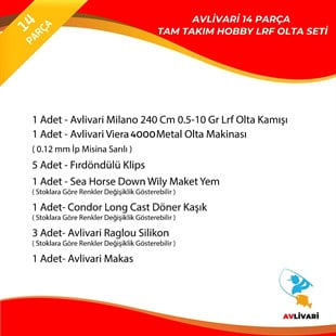 Avlivari Milano 240 Cm 0.5-10 Gr Avlivari Viera 4000 Metal Olta Makinası Tam Takım Kıyı Lrf  Olta Seti 