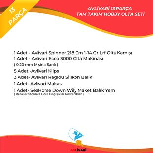 Avlivari Spinner 218 Cm 1-14 Gr -  Ecco 3000 Tam Takım Kıyı Hobi Lrf Olta Seti