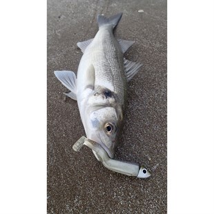 Fiiish BM90/2 BM009 Off Shore 10 Gr Kaki Jig Head