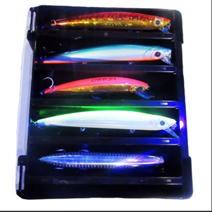 Fujin Tackle Box Çift Taraflı LRF Kutusu