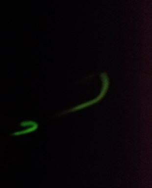 GLOW KANCALI İKİLİ DİP TAKIM