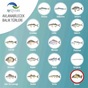 HightCarbon 300 Cm  Blue Bl-5000  Tam Takım Lüx Usta Profesyonel Hobi Sazan Balığı Avı Olta Seti 