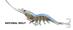 Live Target Shrimp 7cm 3.5gr LRF Spin Karides Silikon Yem