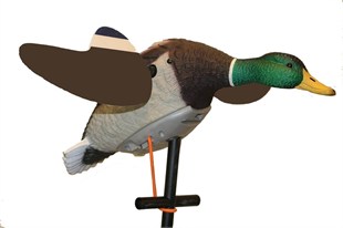 Lucky Duck Lucky Junior II - Motorlu Kanatlı Ördek Mühresi