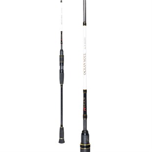 RYUJI OCEAN SOUL FUJI 1.80M 30-200GR 2P SLOW JIG KAMIŞ