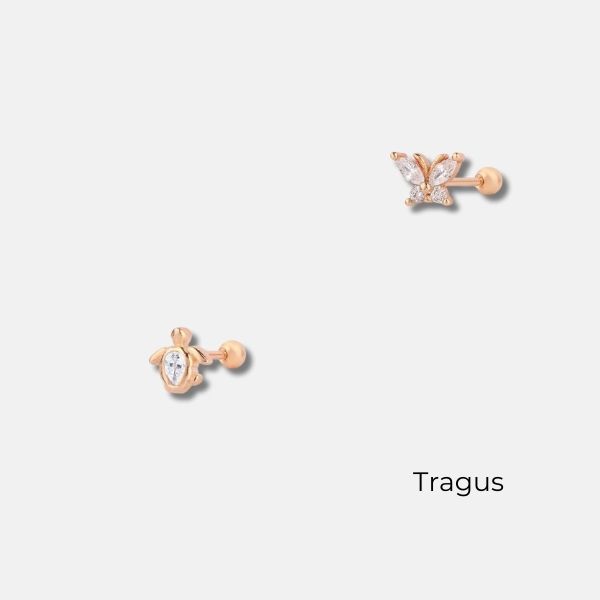 Tragus