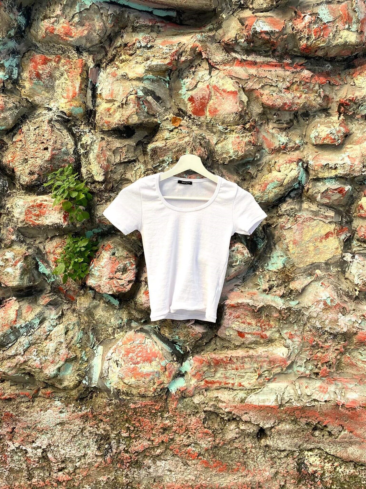 Beyaz Kısa Kollu Crop Bluz