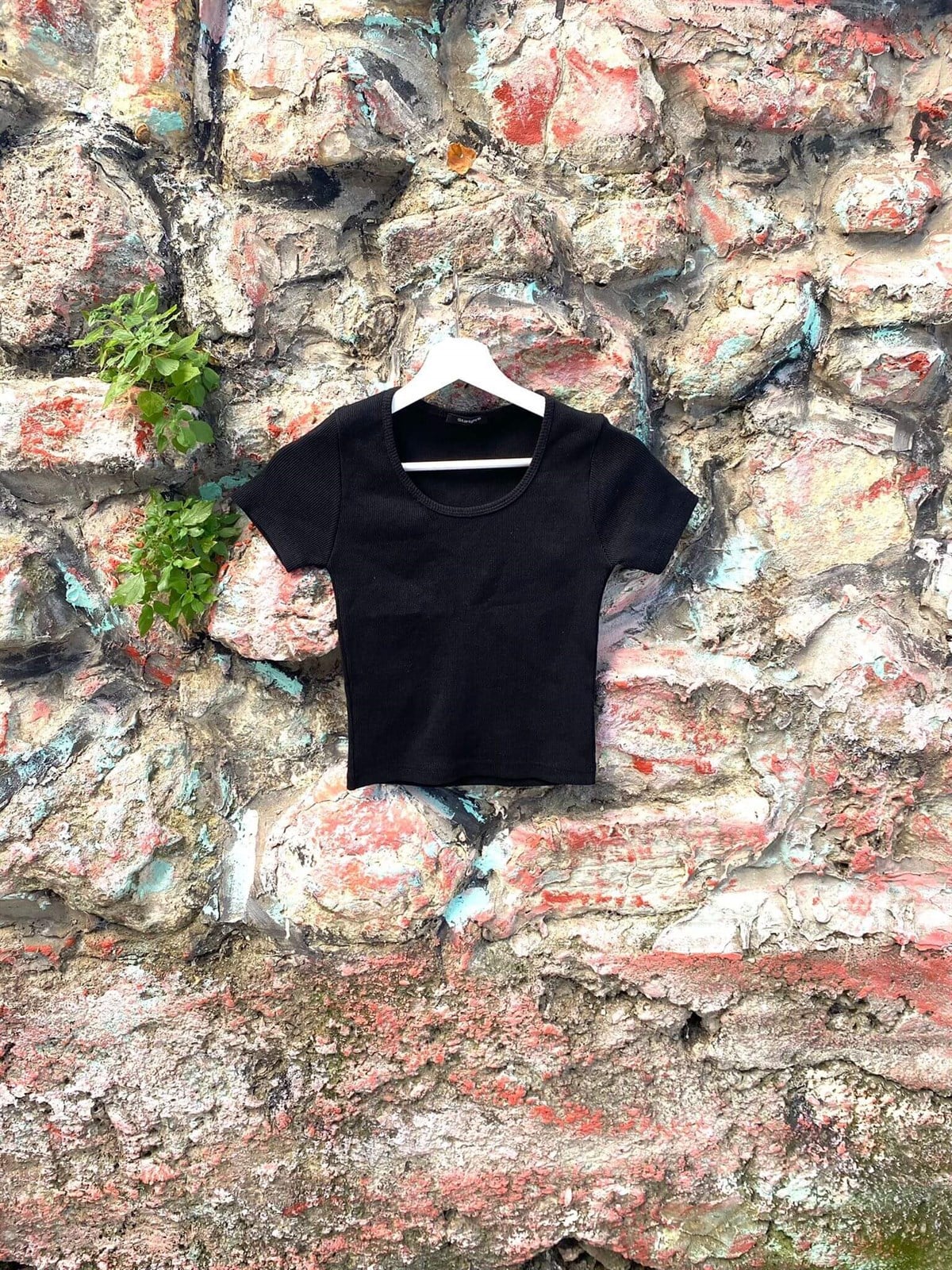 Siyah Kısa Kollu Crop Bluz