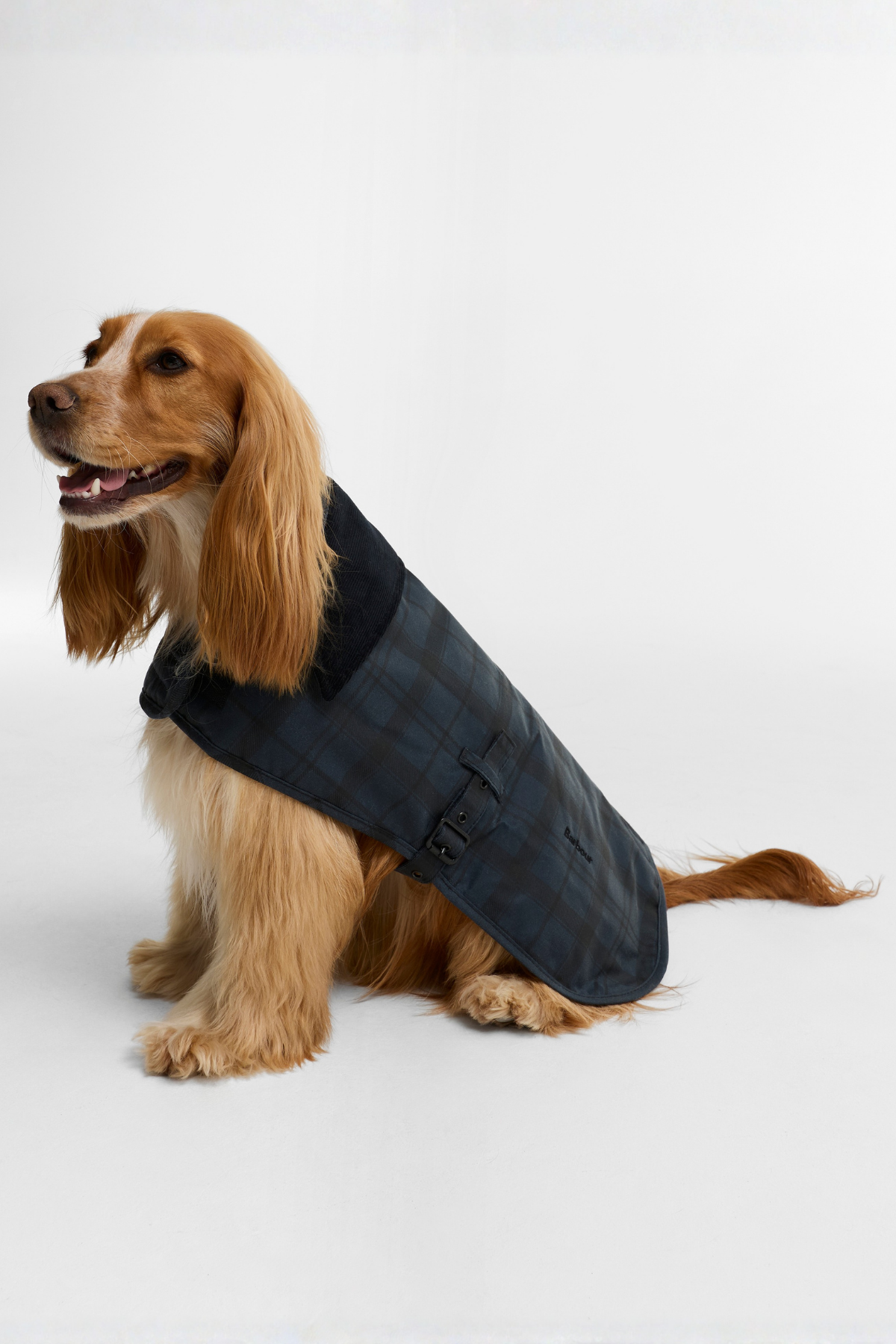 Barbour Ambleside Yağlı Köpek Montu NY75 Navy Tartan